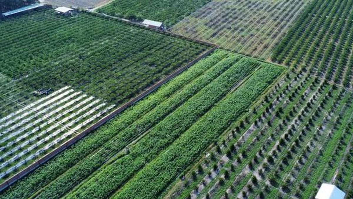 Gần 100 tác phẩm lan tỏa, bảo vệ giá trị ngành nghề nông thôn - Báo Người Lao Động