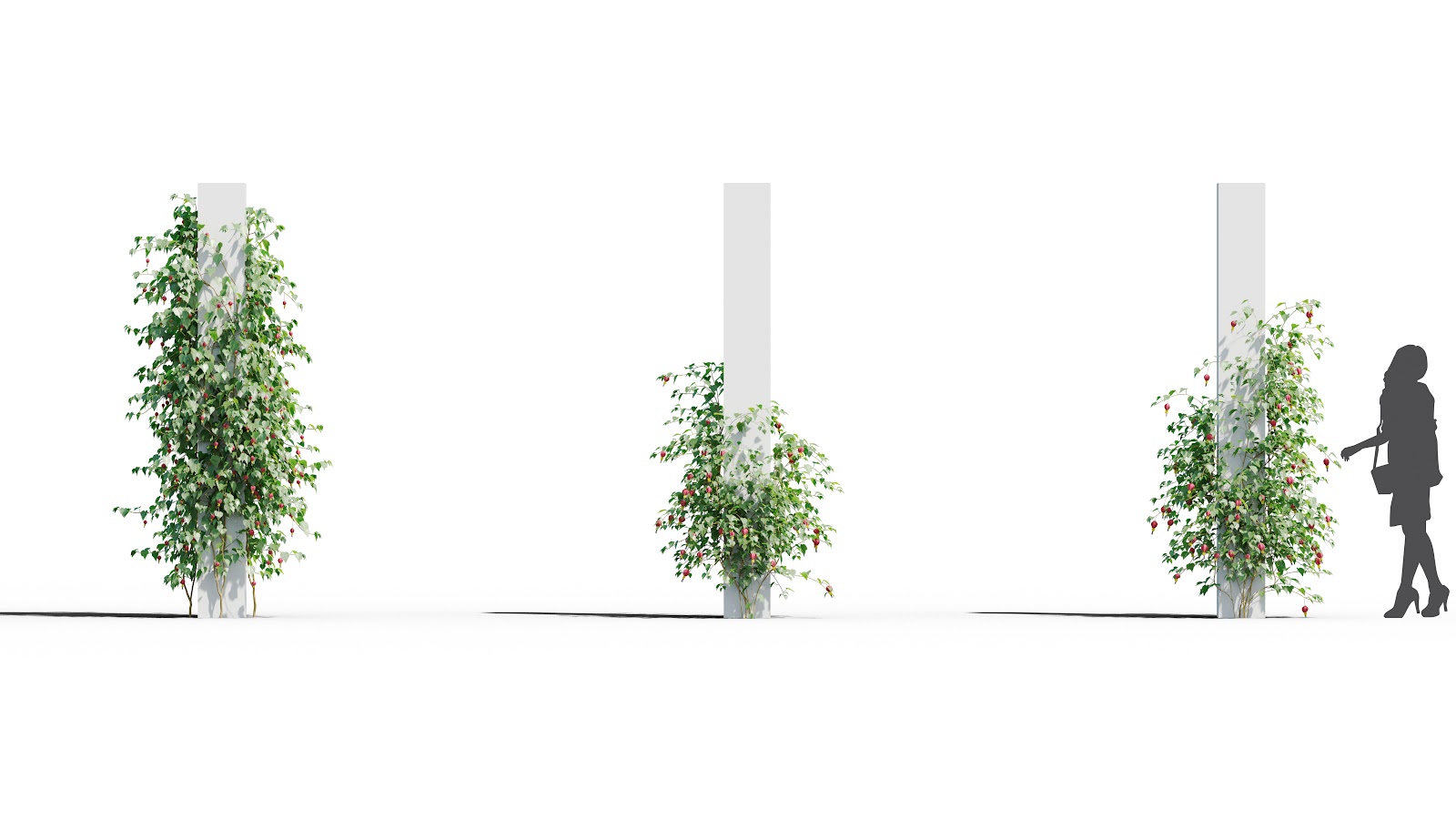 Maxtree - Plant Models Vol.37