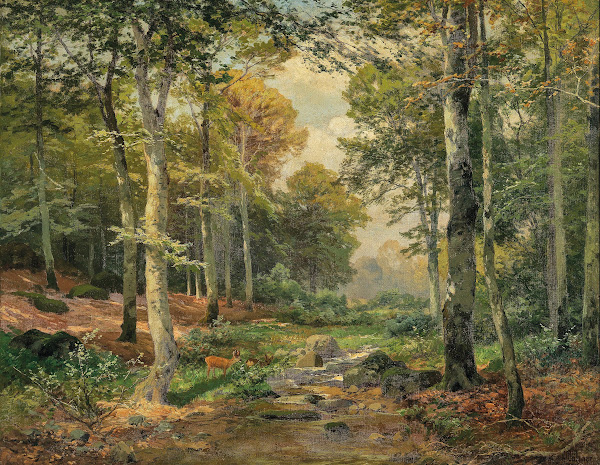 A Sun Lit Forest with a Roe Deer
