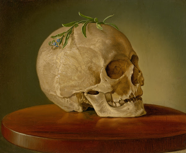 Still Life with a Skull and a Forget Me Not 1860