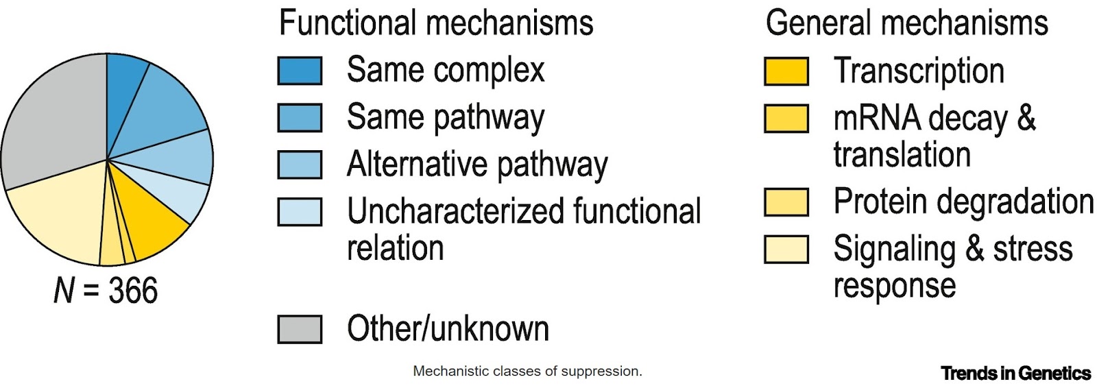 Genetic suppressors as new therapeutic targets for Mendelian diseases