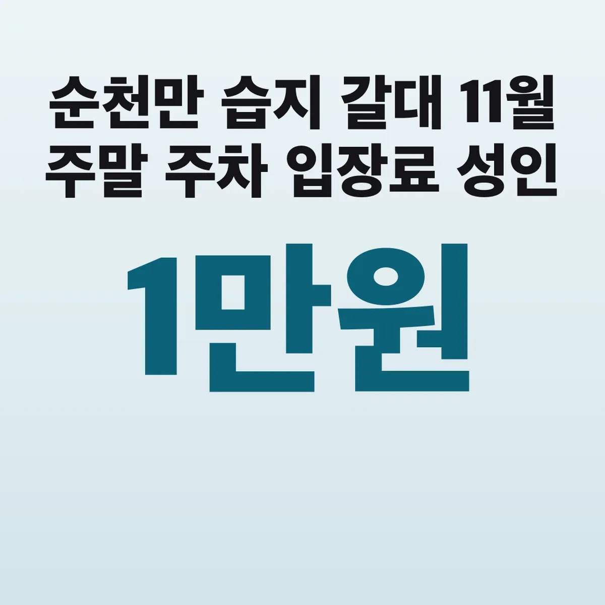순천만 습지 갈대 11월 주말 주차 입장료 성인 1만원