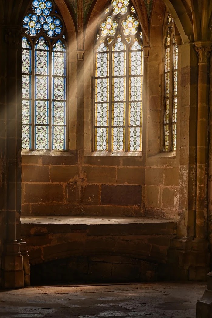 윈도우10과 윈도우11 최적화 설정 비교