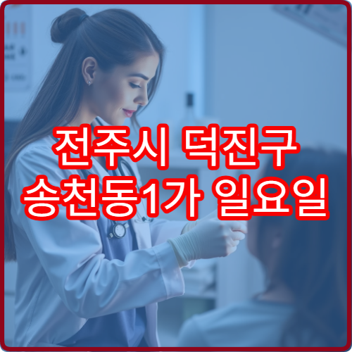 전주시 덕진구 송천동1가 일요일 진료 산부인과 주말 방문 가이드