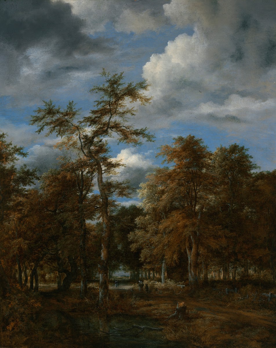 Wooded landscape