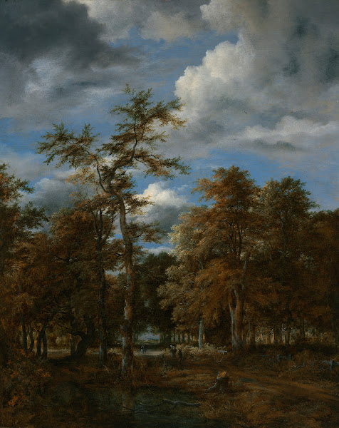 Wooded landscape
