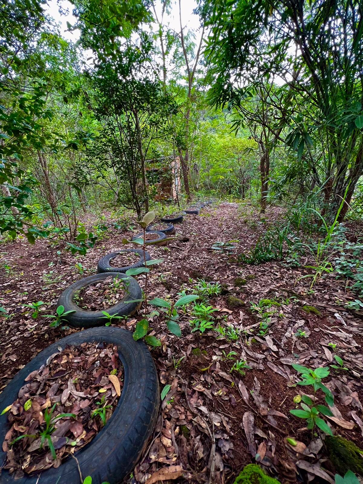 Chácara em Bonfinópolis - GO 9