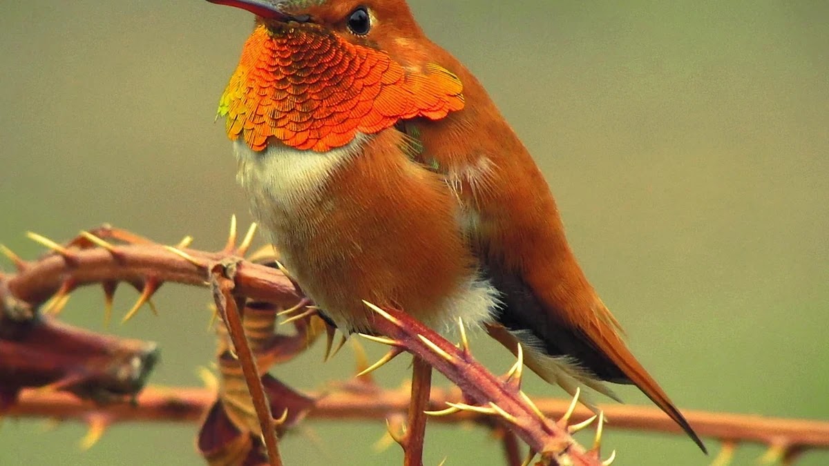 MZ세대 구독경제지출 TOP