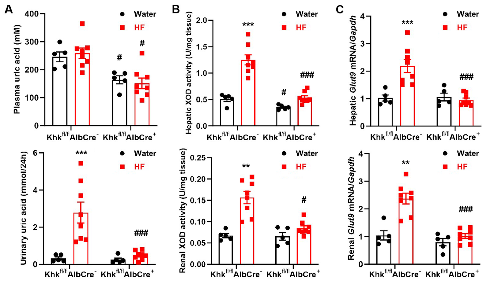 The effect of liver-specific ketohexokinase deletion on the intestinal-liver-kidney axis in high-fructose-induced metabolic syndrome mice