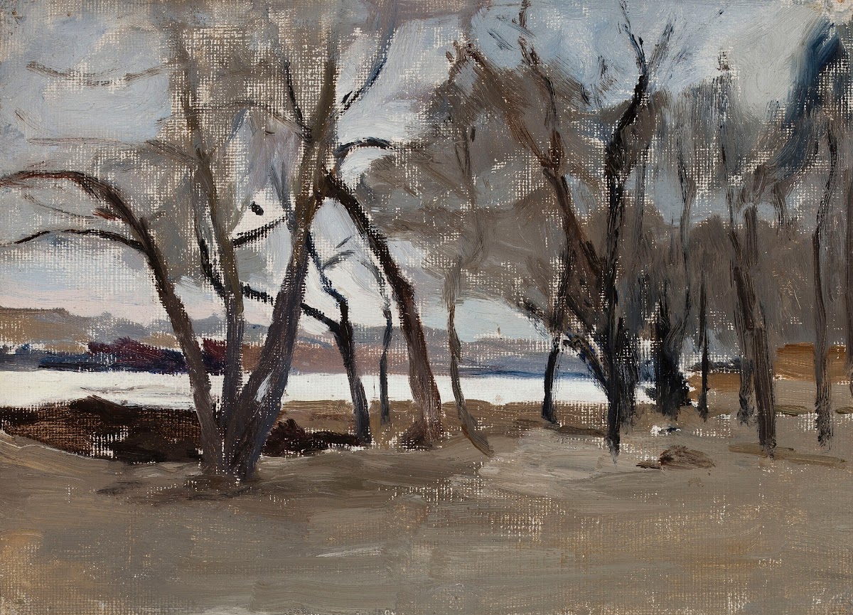 Winter landscape  park on the Petrovsky Island 1902