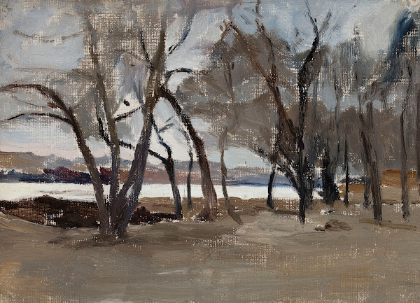 Winter landscape  park on the Petrovsky Island 1902