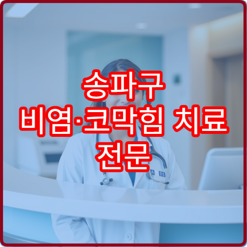 송파구 비염·코막힘 치료 전문 이비인후과 병원 정보