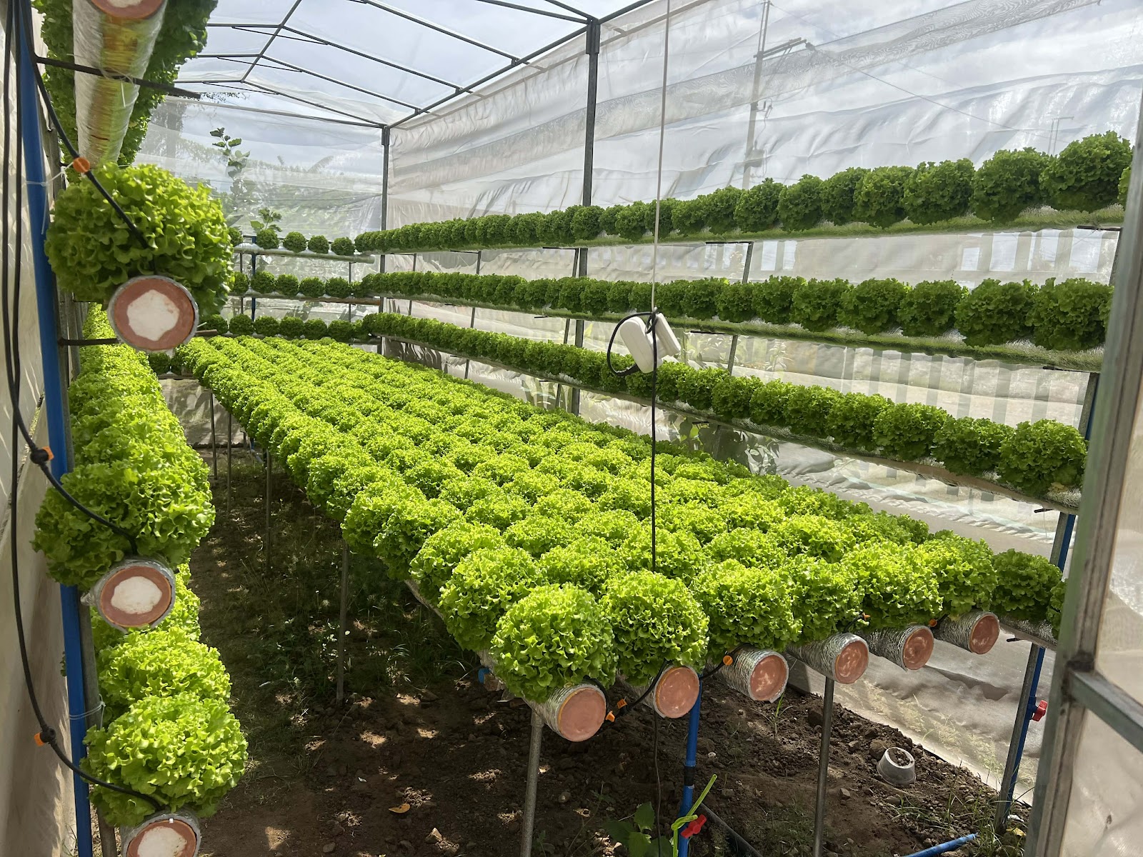 Sustainable Farming Ecosystem