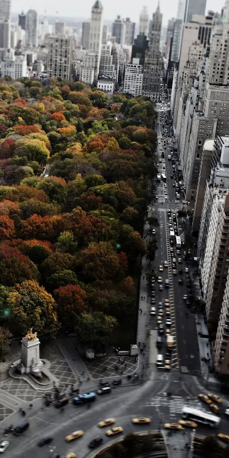Architecture, City, Cityscape, Trees, Building 4K Phone Wallpaper