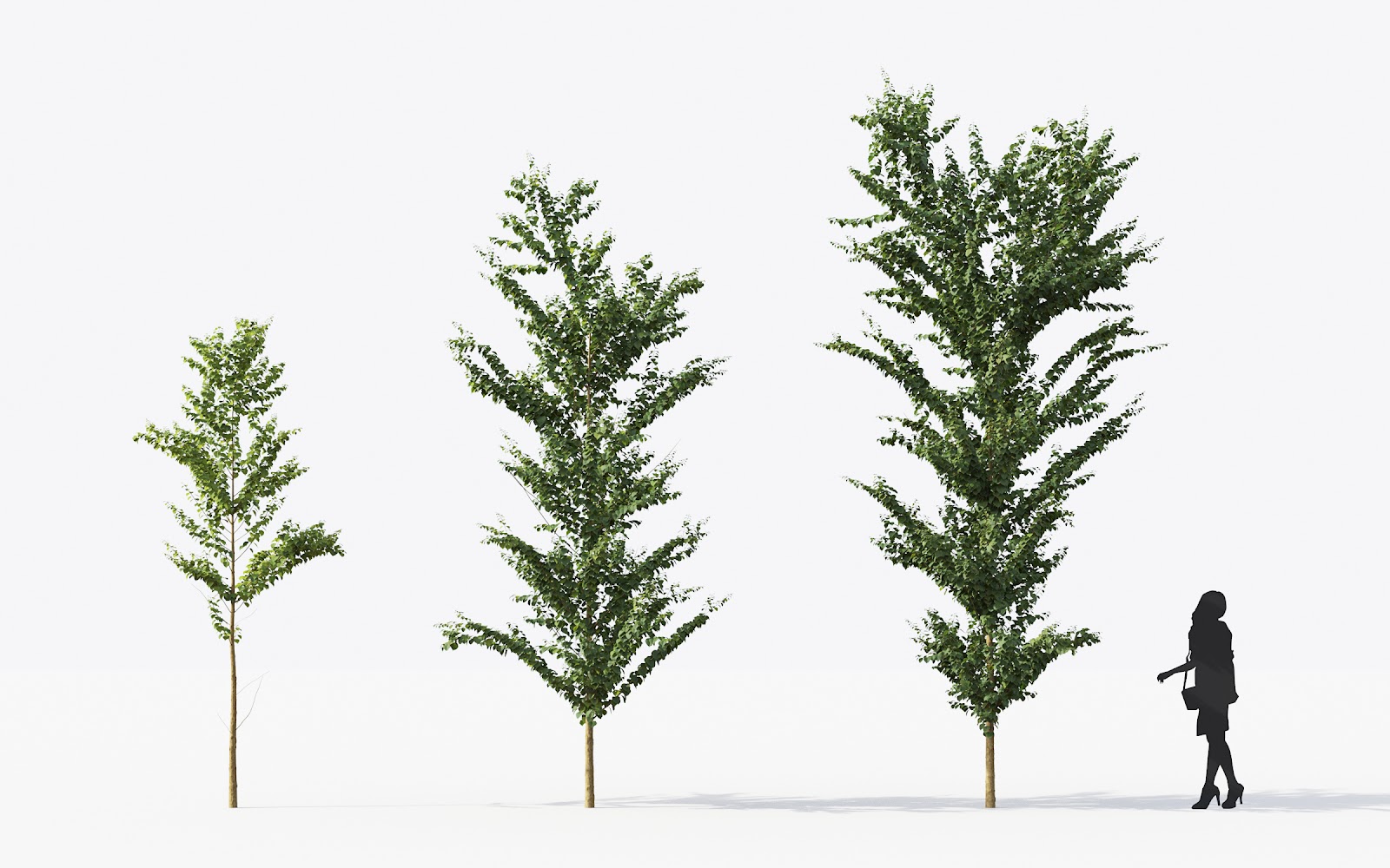 Maxtree - Plant Models Vol.14