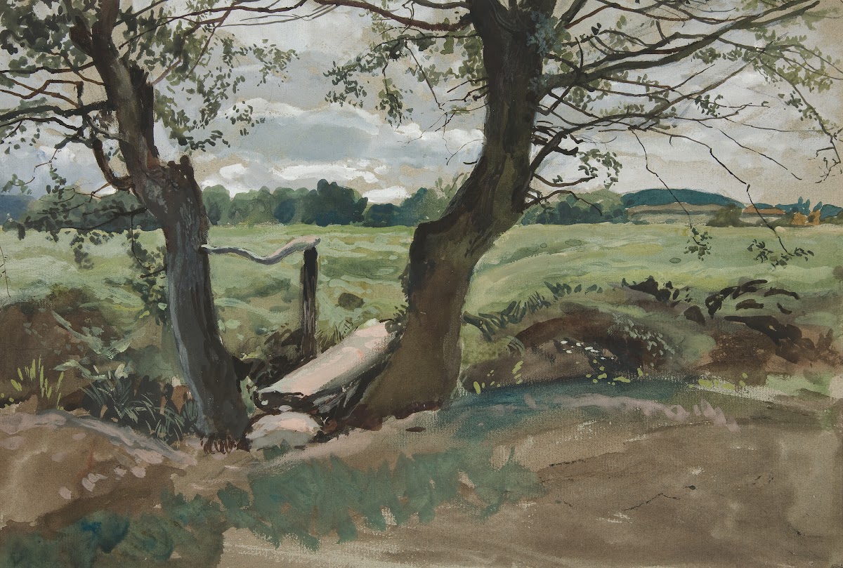 Study of two trees and afield