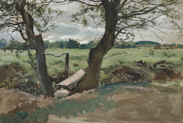 Study of two trees and afield