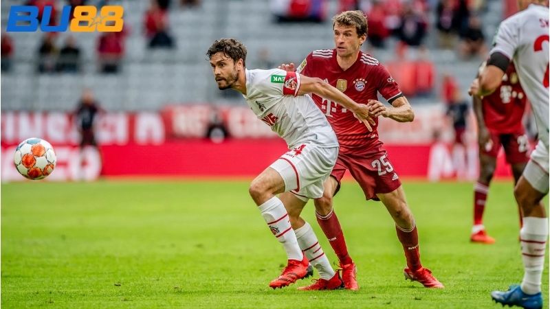 Lịch sử đối đầu giữa hai đội Cologne vs Bayern Munich