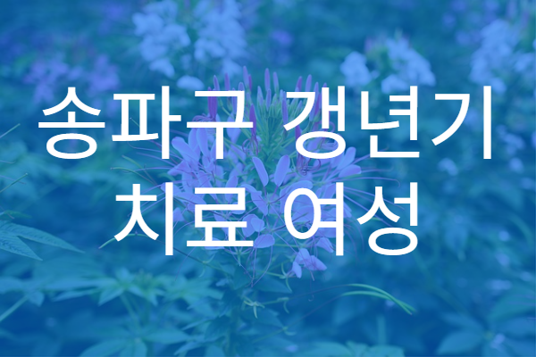 송파구 갱년기 치료 여성 호르몬 상담 병원 안내