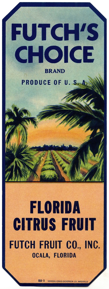 Futchs Choice Citrus Label 1930 1950