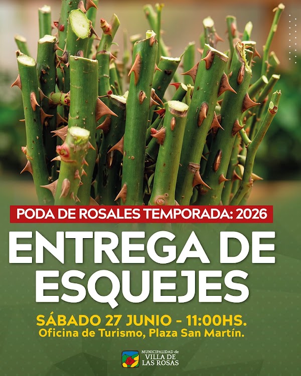 Entrega de esquejes de rosales