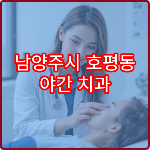 남양주시 호평동 야간 치과 치아 파절 통증 진료 병원 찾기