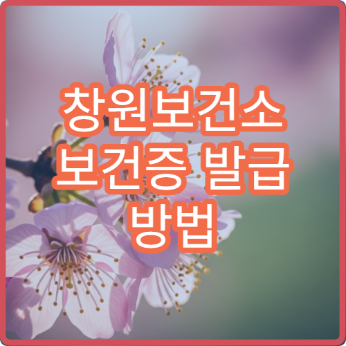 창원보건소 보건증 발급 방법 검사 항목과 비용 정리