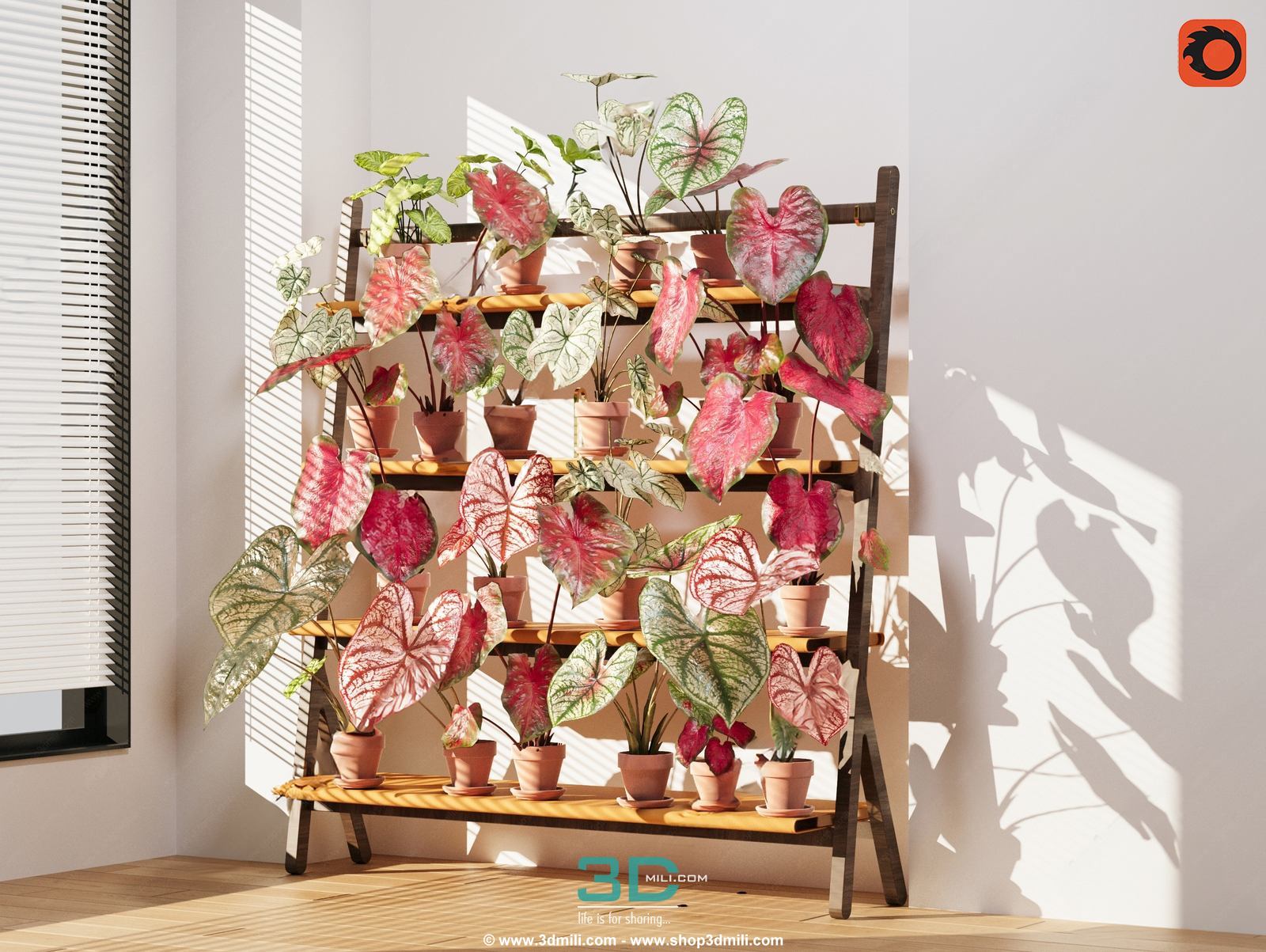 978.Sell Album Indoor Plant PRO Vol 01
