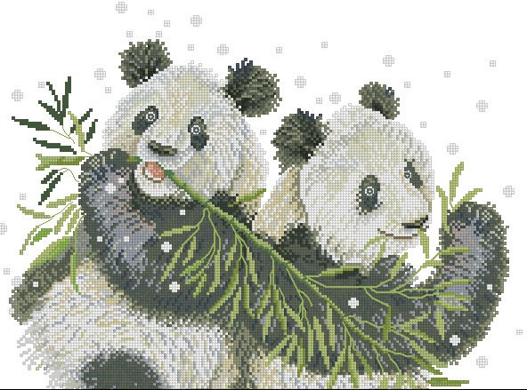 CMP LAN34822 Pandas