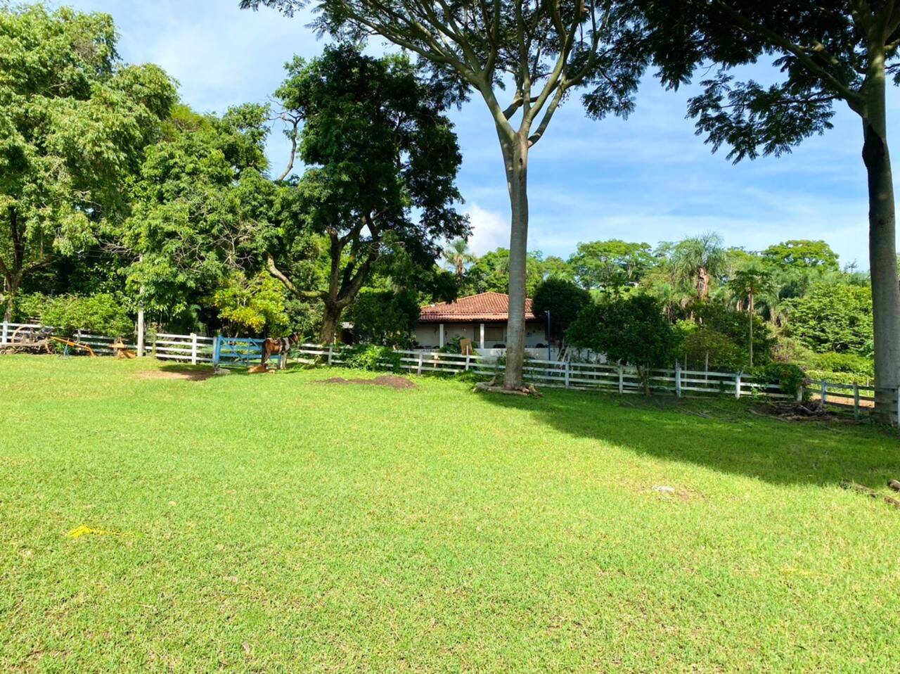 Fazenda em Alexânia-GO 5