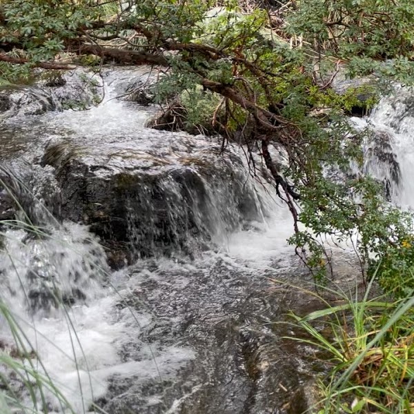 Trek a Los Chorros y Bosque de Tabaquillos