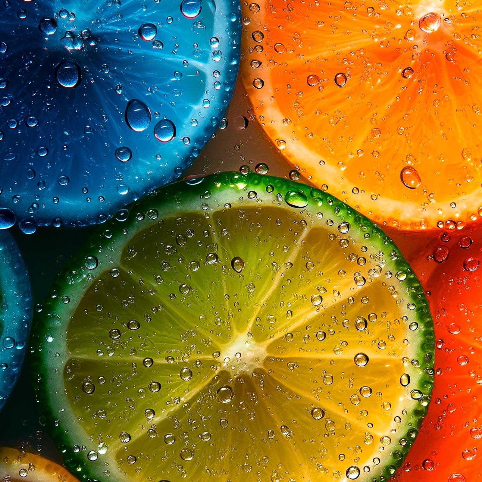 Download Colorful Citrus Slices With Water 2K iPhone
