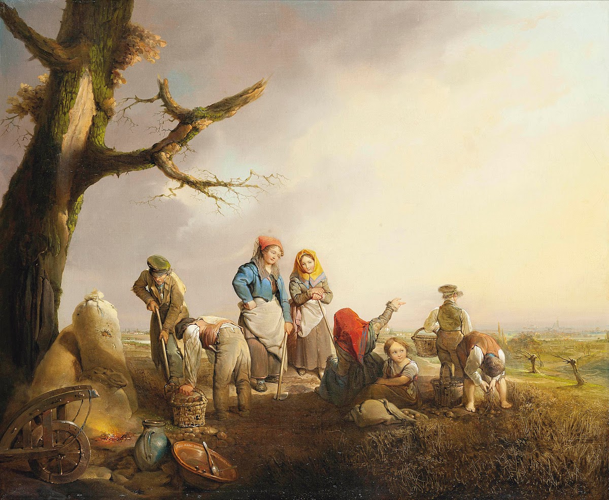 The potato pickers