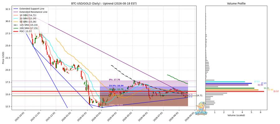 BTC vs Gold 비교