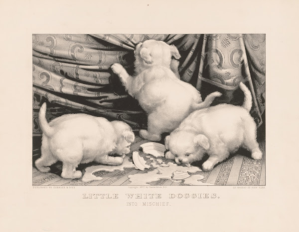 Little white doggies into mischief 1877