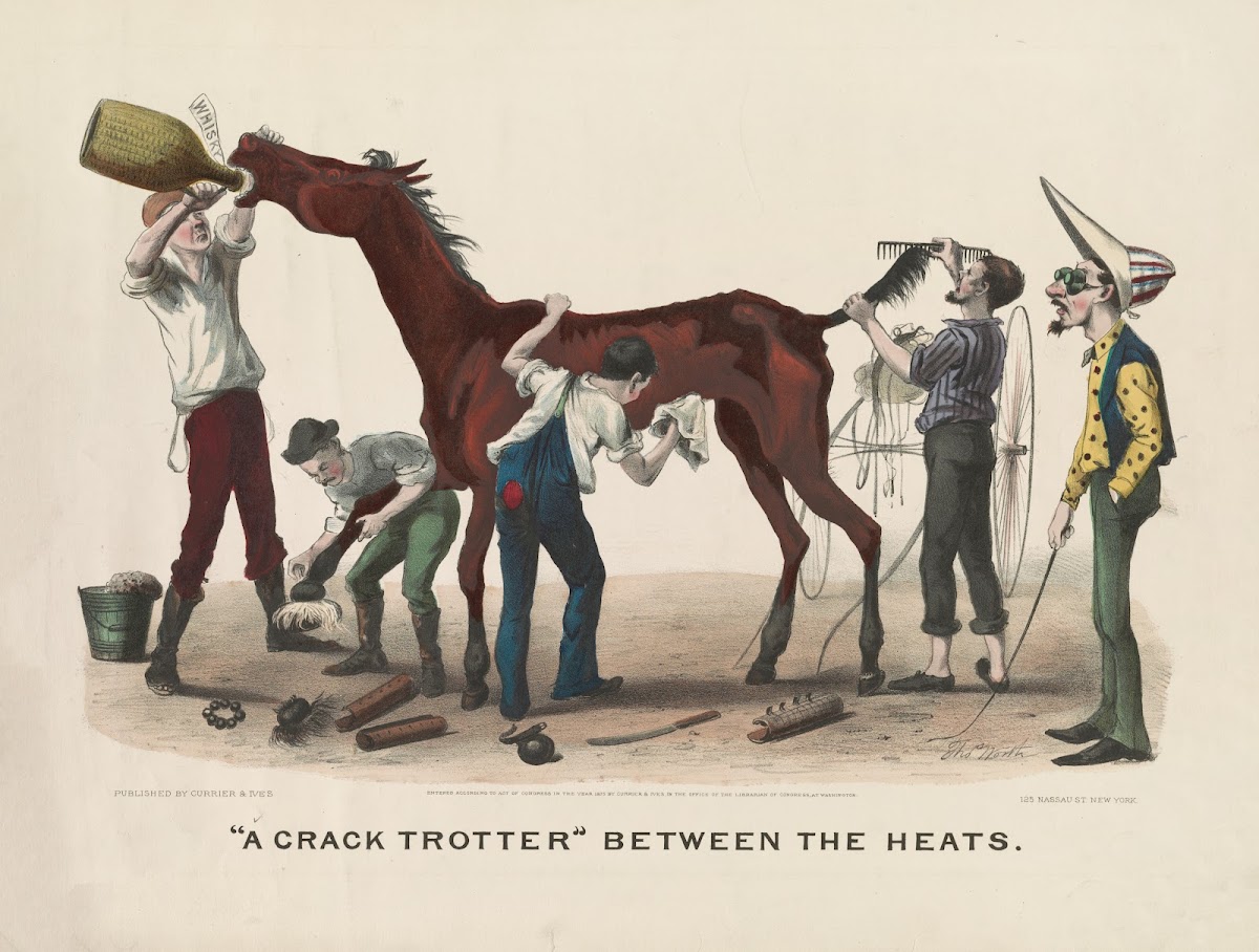A Crack trotter between the heats 1875