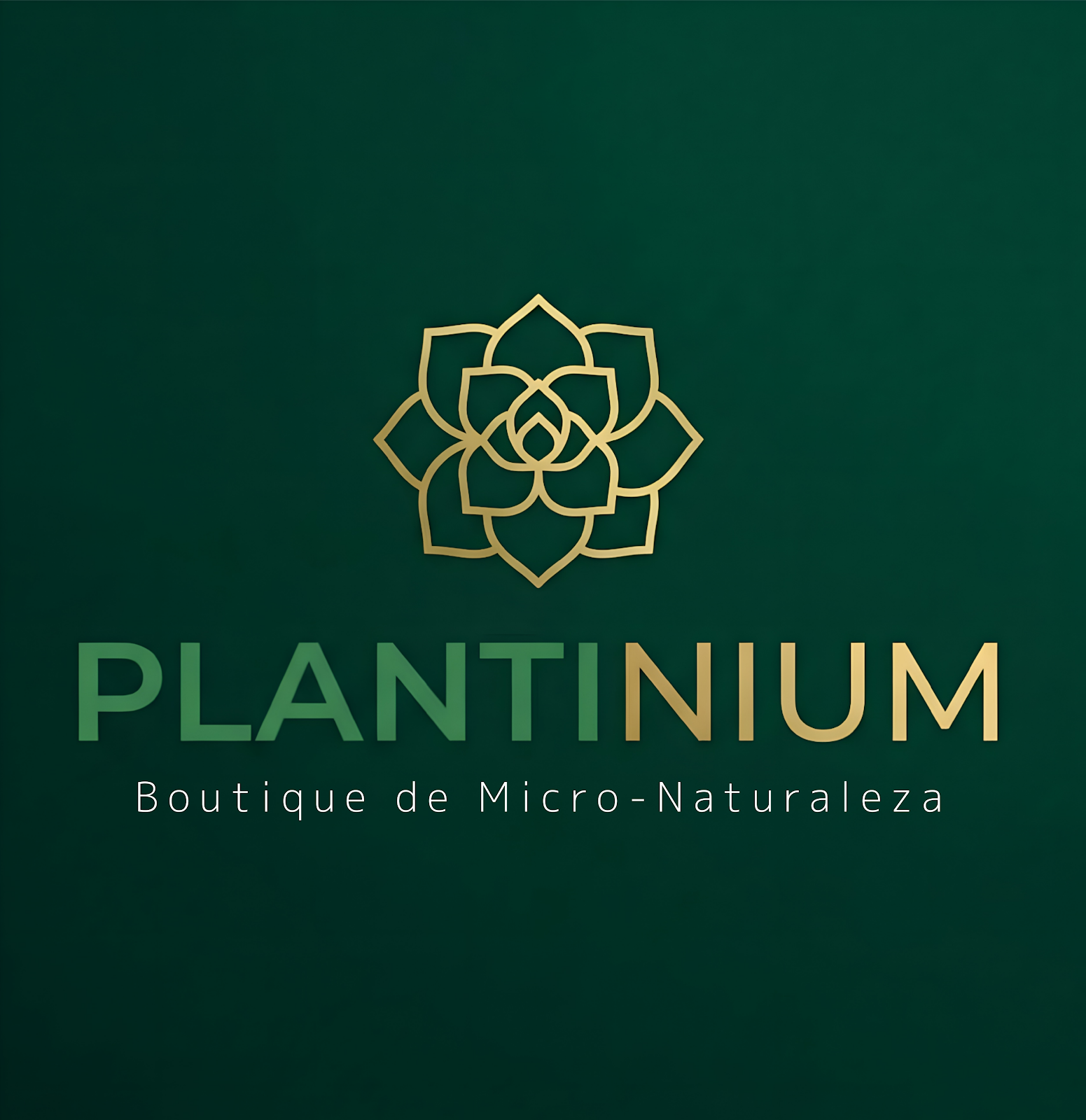 PLANTINIUM Logo Oficial