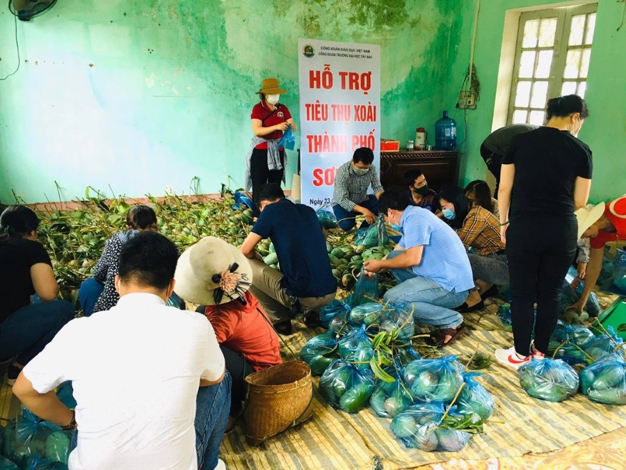 Công đoàn Trường Đại học Tây Bắc hỗ trợ nông dân xã Chiềng Ngần, thành phố Sơn La tiêu thụ nông sản trái cây