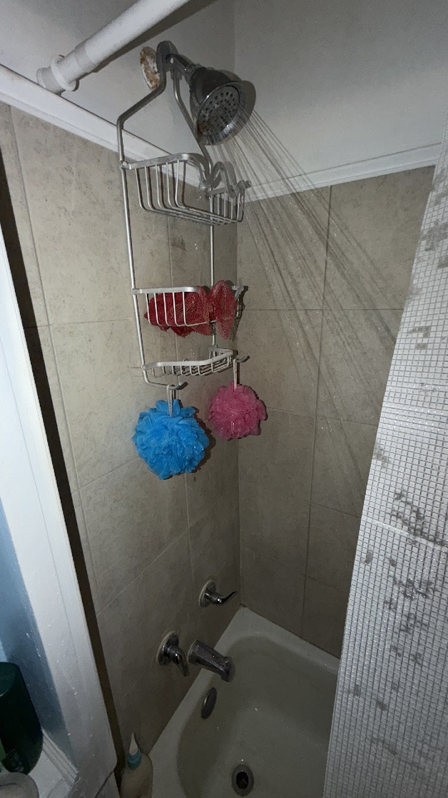 Copy of IMG_2026-03-13_14-17-36_201.jpg