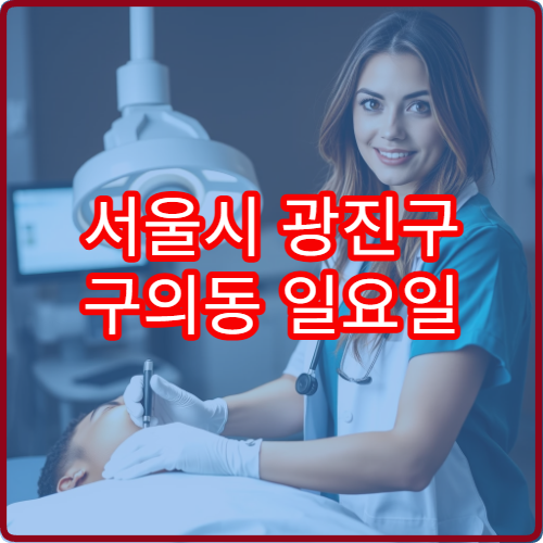 서울시 광진구 구의동 일요일 피부과 진료 병원 안내 주말 피부과 진료 병원 정보