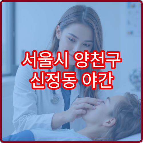 서울시 양천구 신정동 야간 진료 가능한 안과 시야 불편 시 방문 전 참고
