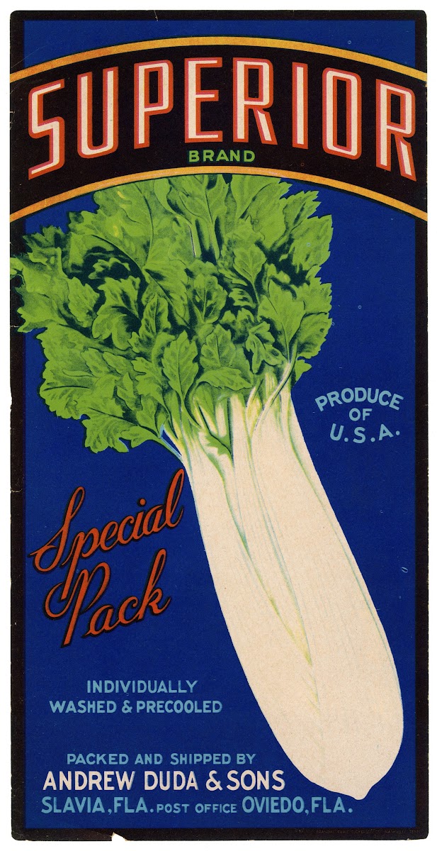 Superior Brand Celery Label 1930 1950