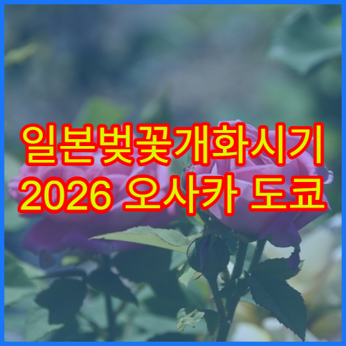 일본벚꽃개화시기 2026 오사카 도쿄 교토 여행 일정표