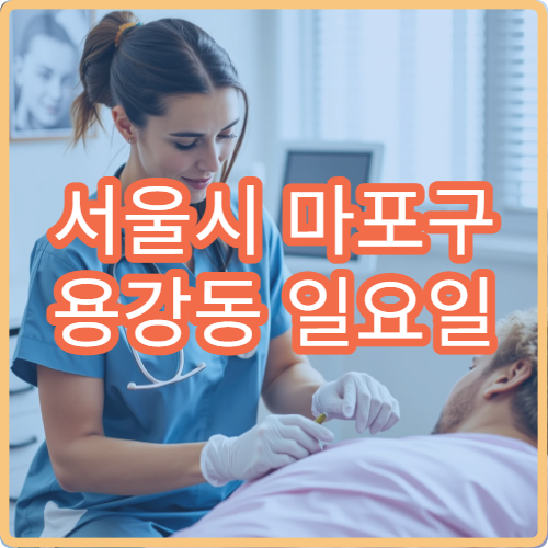 서울시 마포구 용강동 일요일 약국 영업 약국 찾기 및 상담 가능