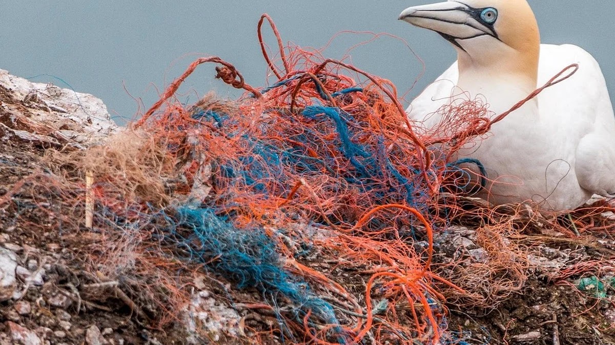 예금자보호제도의 역할과 적용 조건 상세 정리