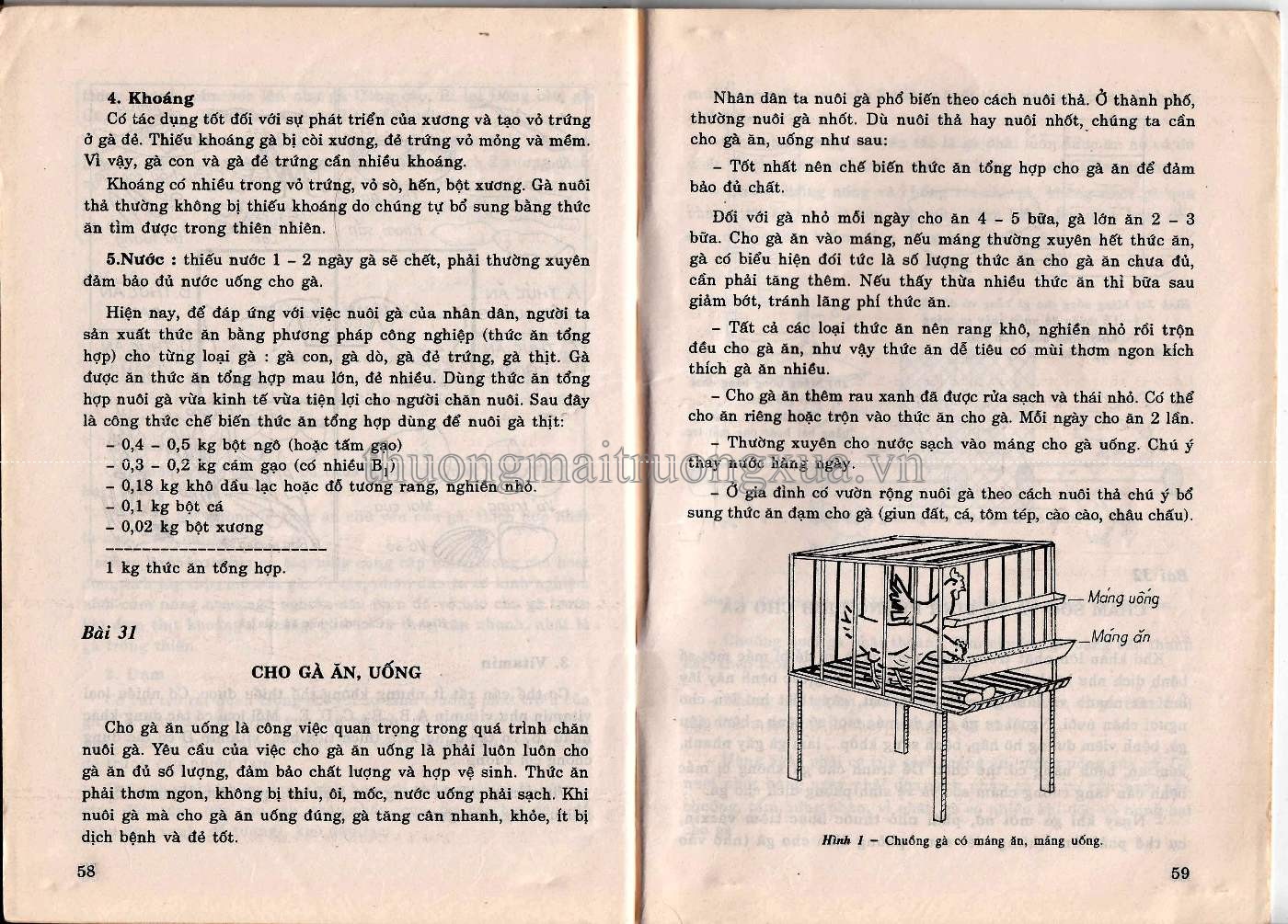 Lao động kỹ thuật 5 (1997) - Trang 30