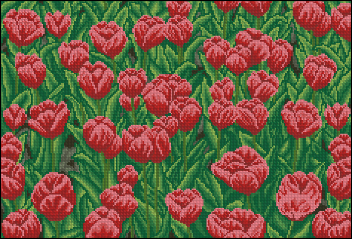CMP DMC0122 Red Tulips