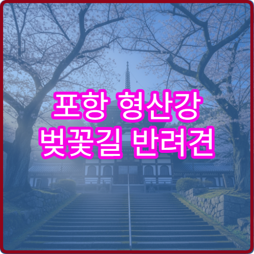 포항 형산강 벚꽃길 반려견 동반 산책 허용 구간 바다 조망 루트