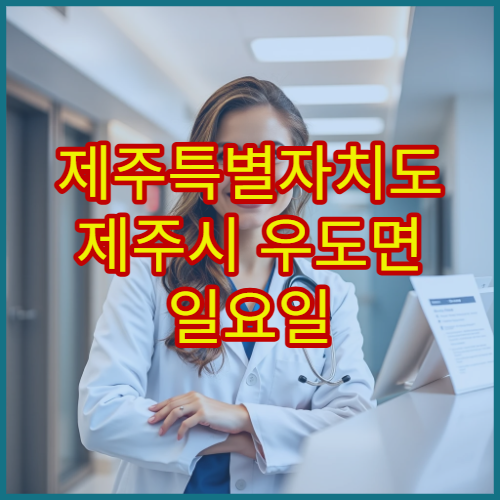 제주특별자치도 제주시 우도면 일요일 문 여는 약국 운영시간 안내