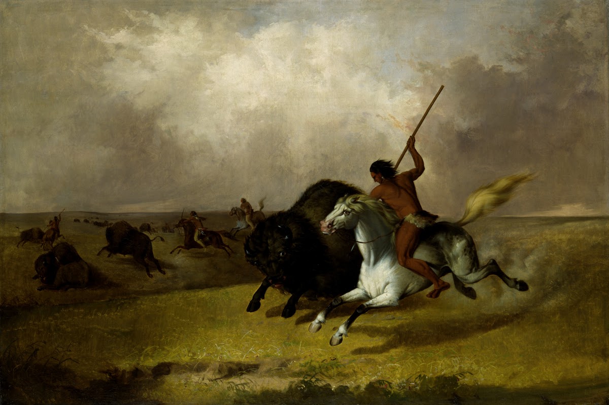 Buffalo Hunt on the Southwestern Prairies 1845